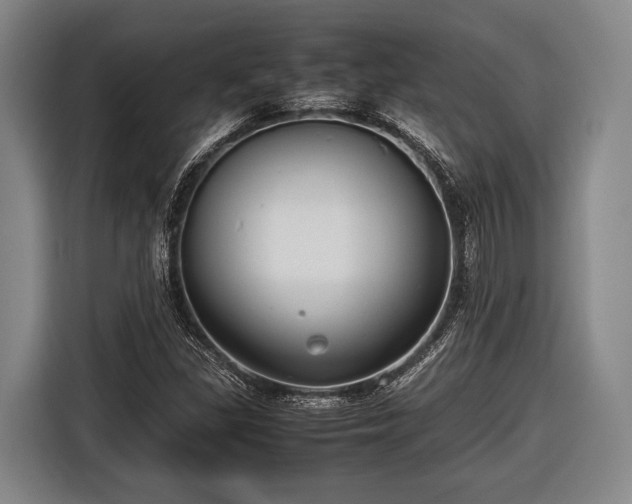 X0000116421309200912150950