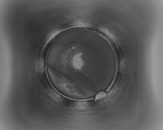 X0000116421310200912150950