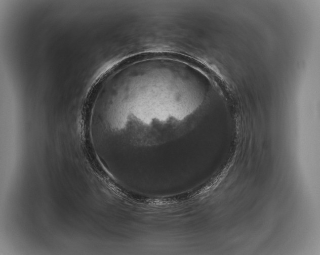 X0000116421311200912150950