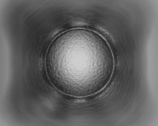 X0000116421313200912150950