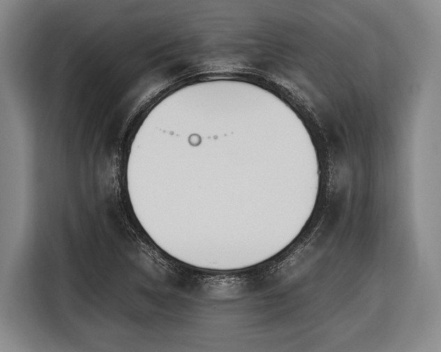 X0000116421314200912150950