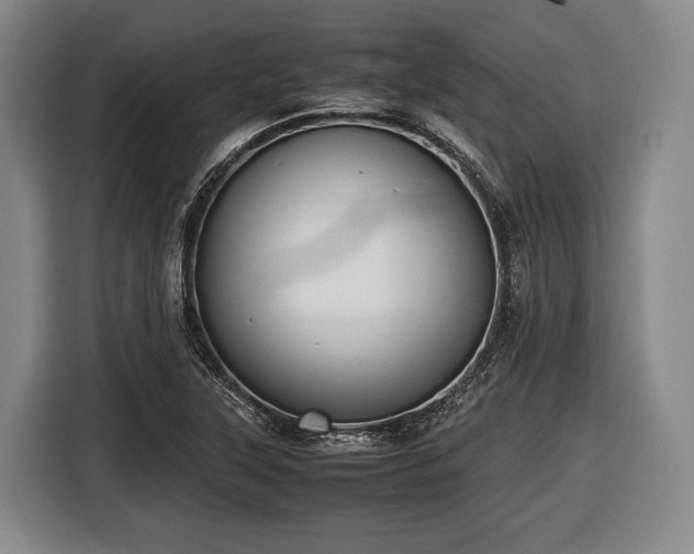 X0000116421315200912150950