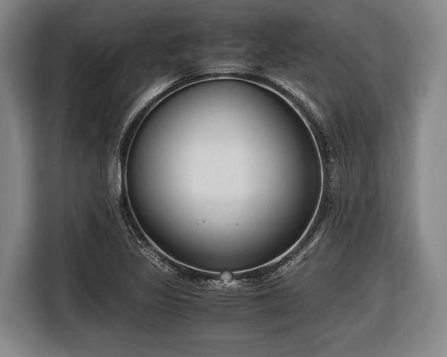 X0000116421317200912150950