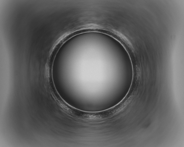 X0000116421318200912150950