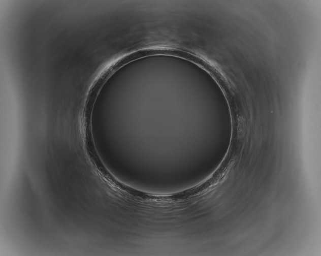 X0000116421319200912150950