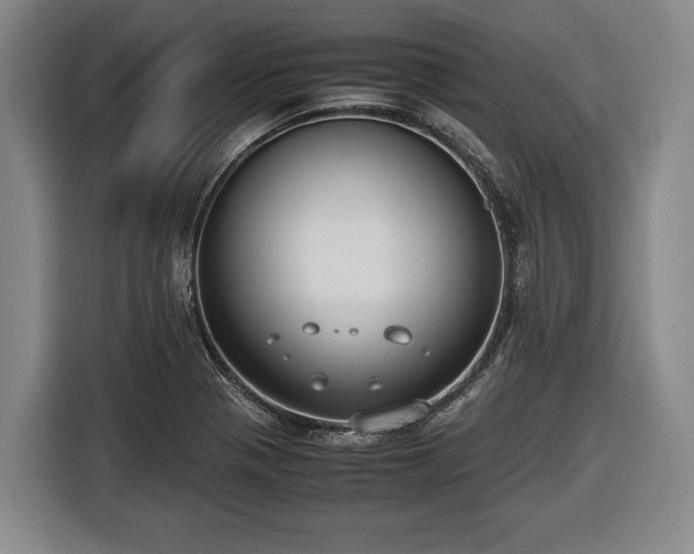 X0000116421321200912150950
