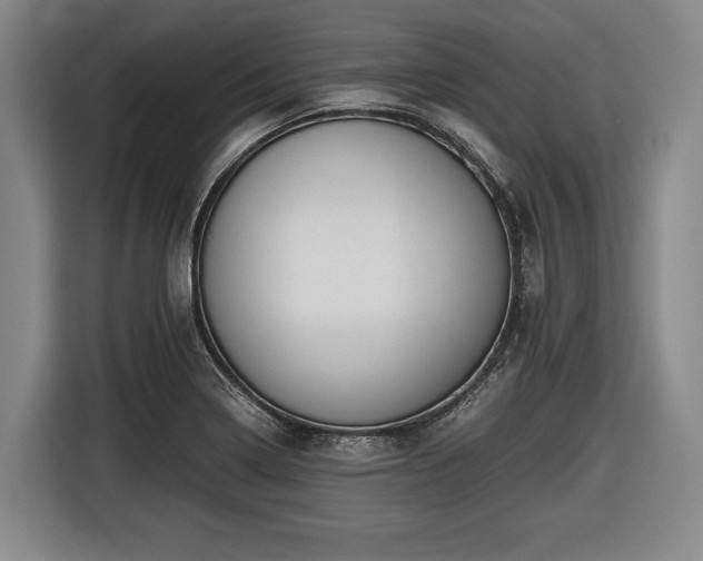 X0000116421322200912150950