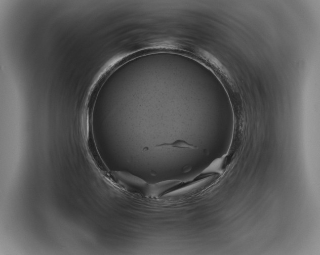 X0000116421323200912150950