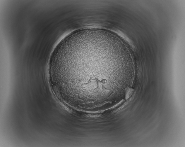 X0000116421325200912150950