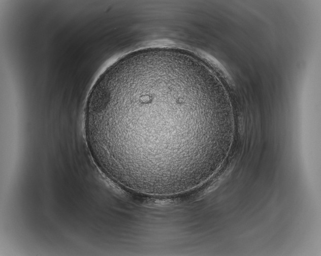 X0000116421326200912150950