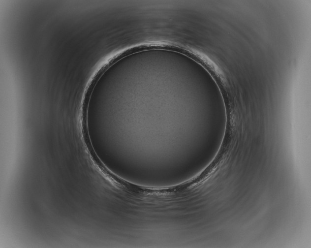 X0000116421327200912150950