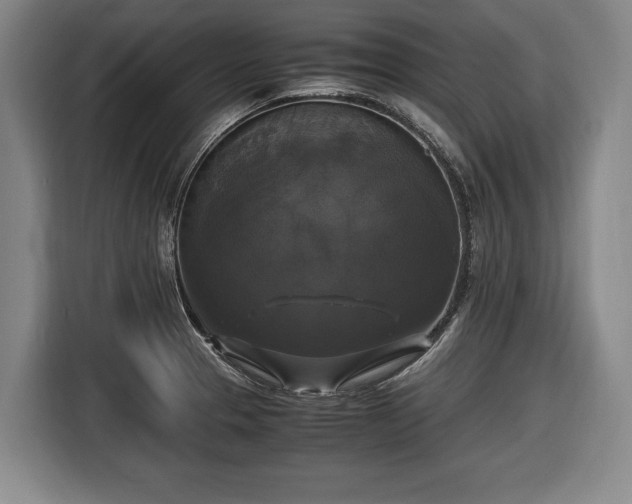 X0000116421329200912150950