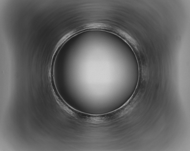 X0000116421330200912150950
