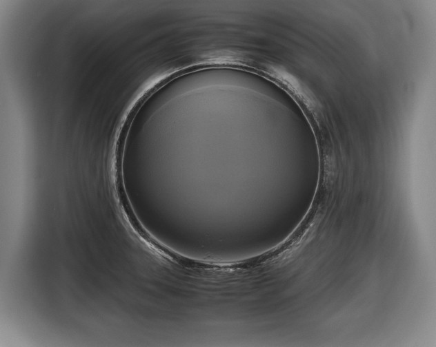 X0000116421331200912150950