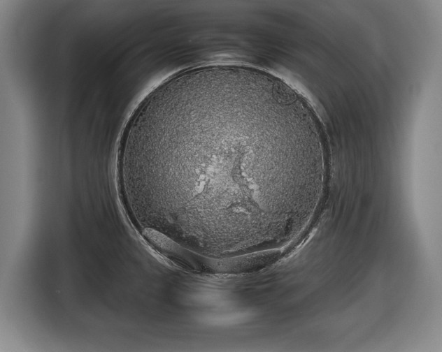 X0000116421333200912150950