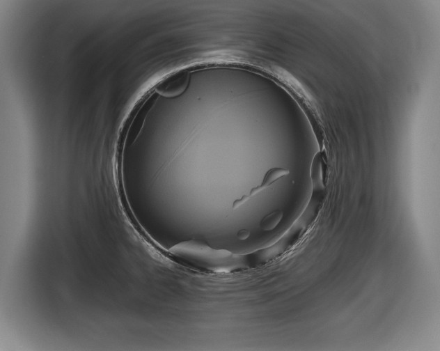 X0000116421334200912150950