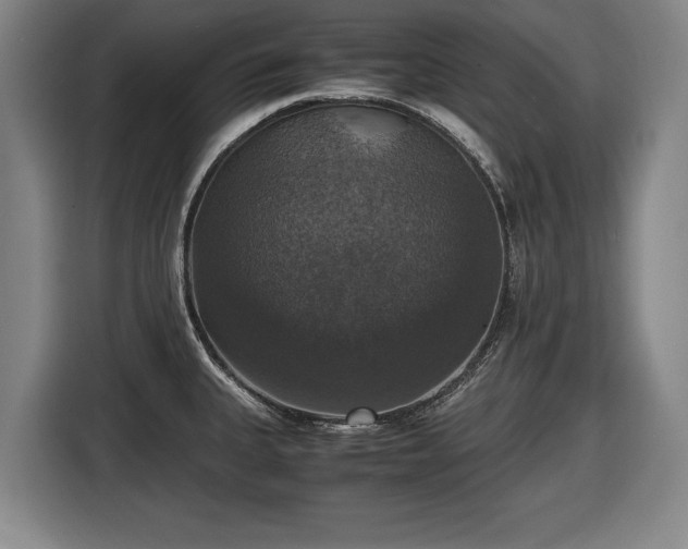 X0000116421335200912150950
