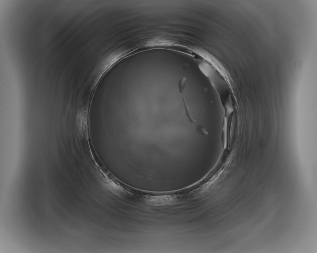 X0000116421337200912150950