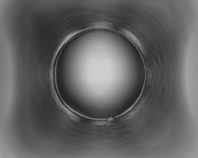 X0000116421339200912150950