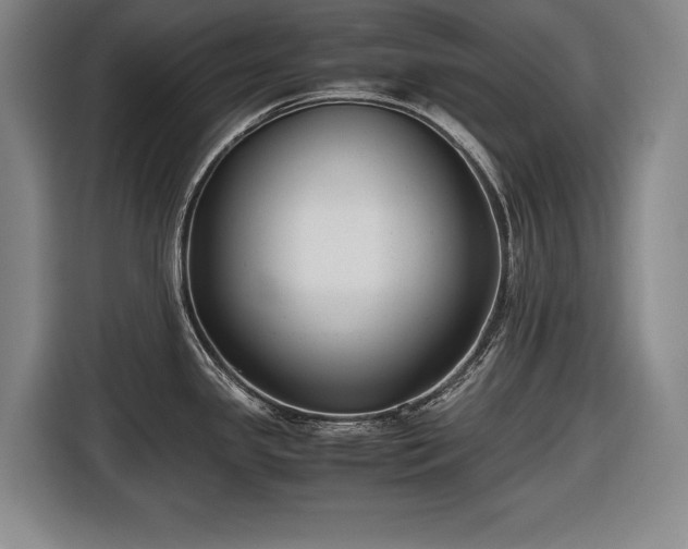 X0000116421341200912150950
