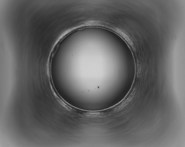 X0000116421342200912150950