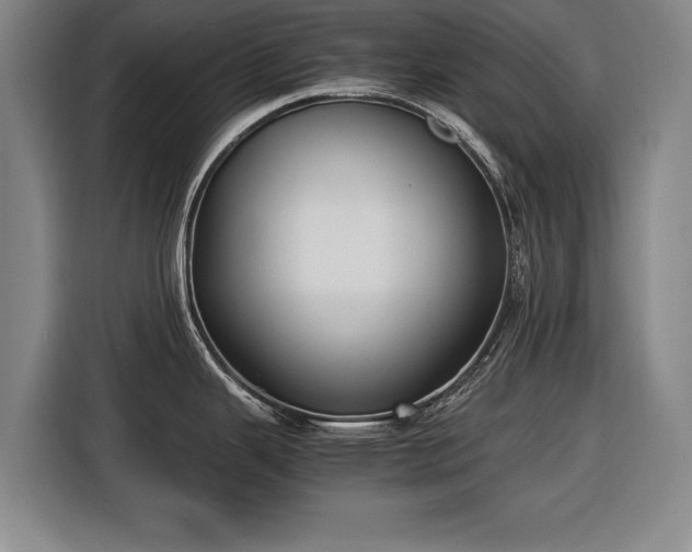 X0000116421343200912150950