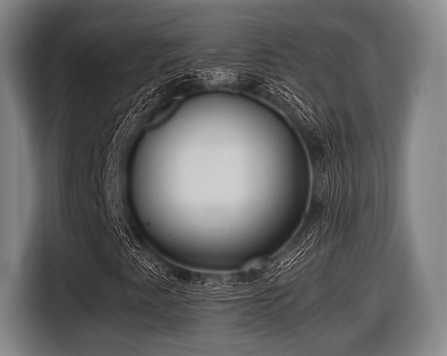 X0000116421345200912150950