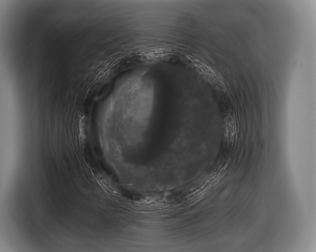 X0000116421346200912150950