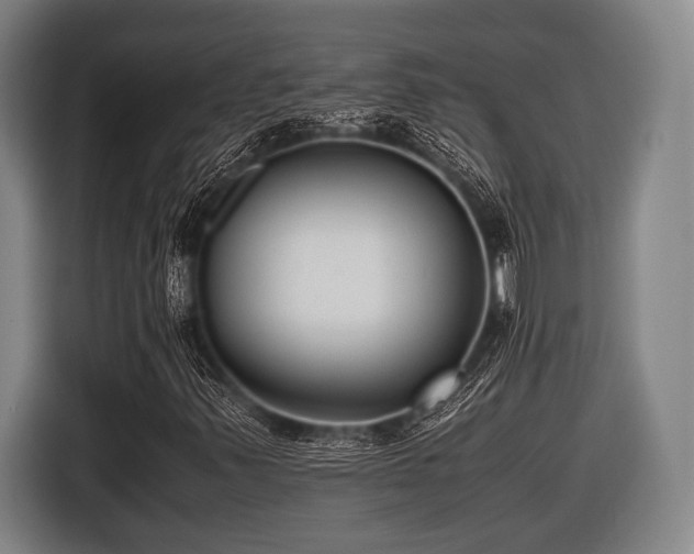 X0000116421347200912150950