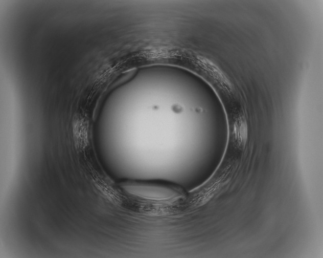 X0000116421348200912150950