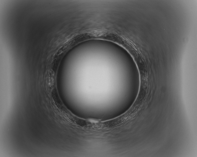 X0000116421349200912150950
