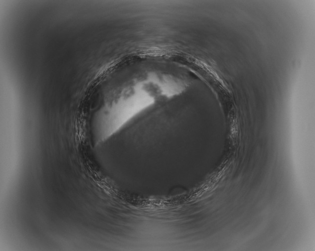 X0000116421350200912150950
