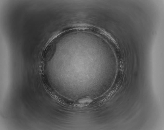 X0000116421352200912150950