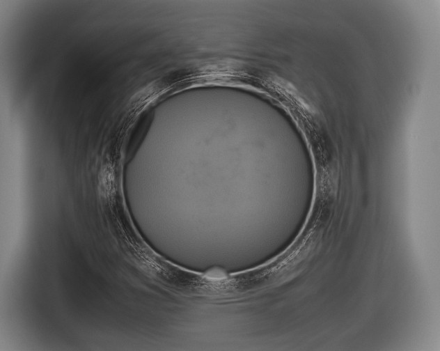 X0000116421353200912150950