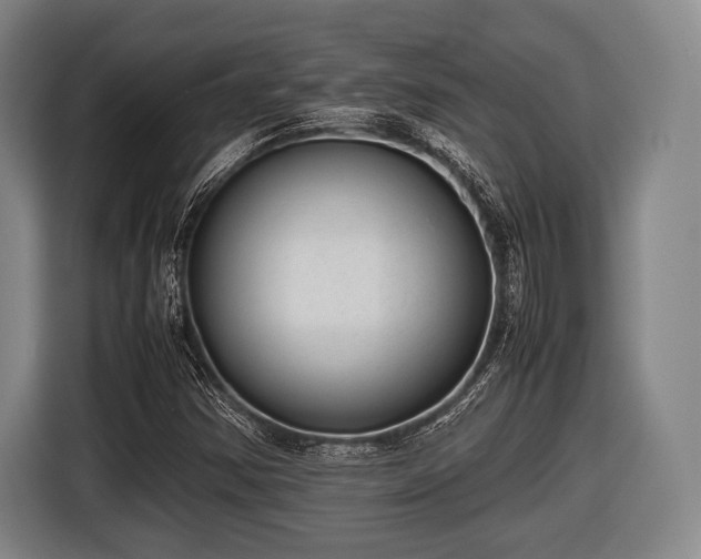 X0000116421354200912150950