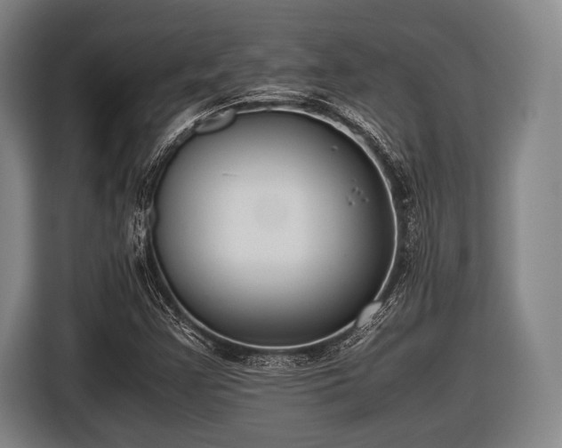 X0000116421355200912150950