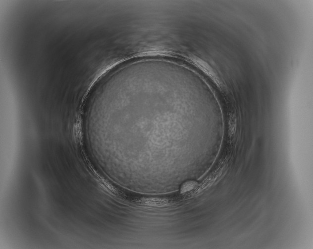 X0000116421356200912150950