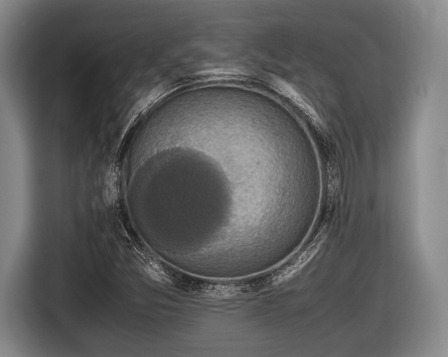 X0000116421357200912150950