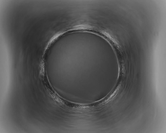 X0000116421358200912150950