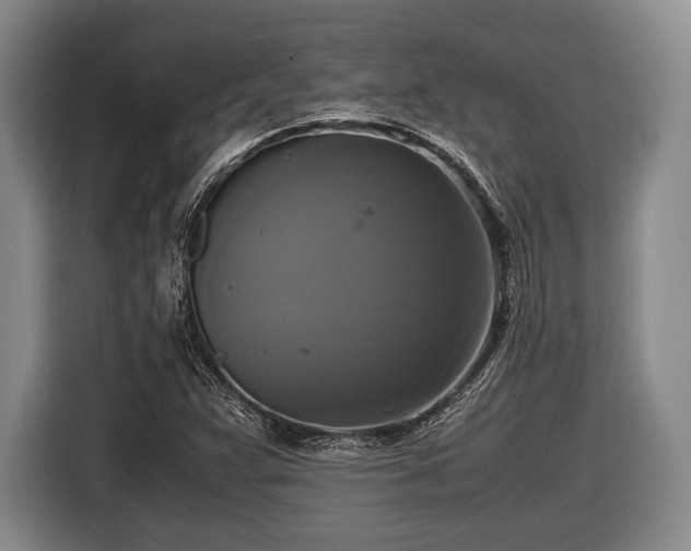 X0000116421359200912150950