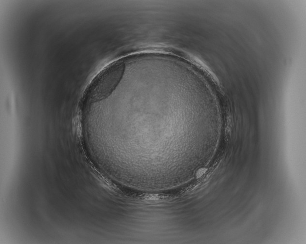 X0000116421360200912150950