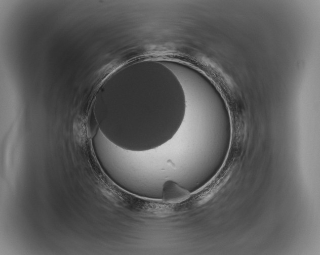 X0000116421361200912150950