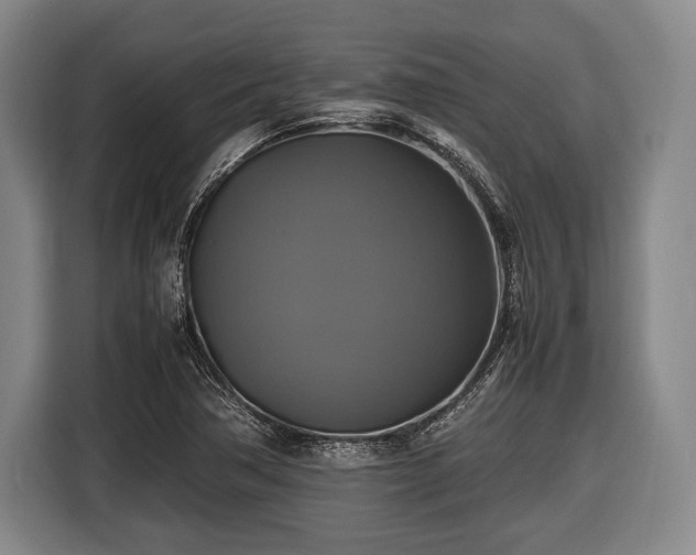 X0000116421362200912150950