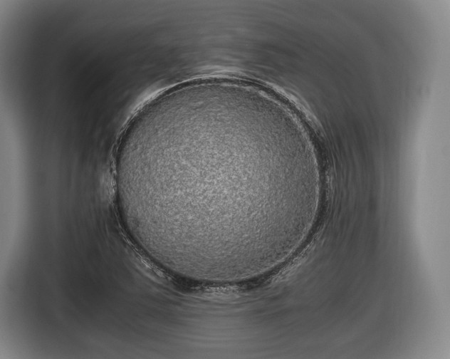 X0000116421363200912150950