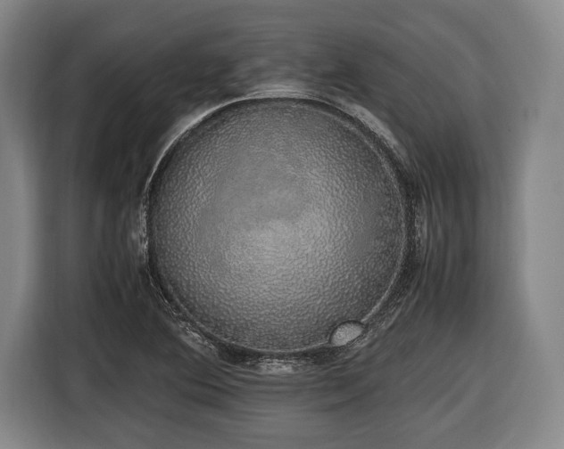 X0000116421364200912150950