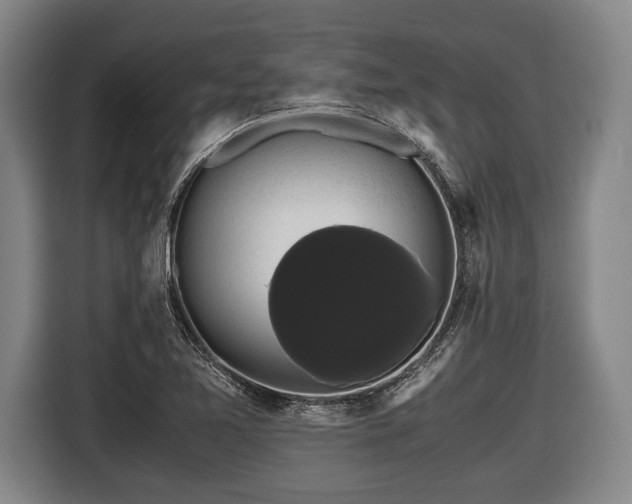 X0000116421365200912150950