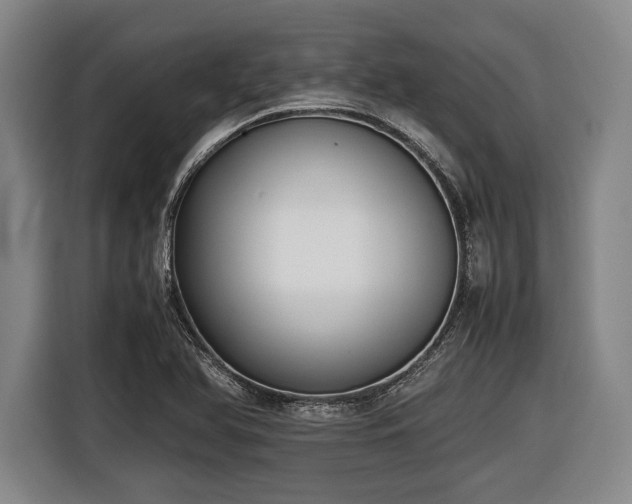 X0000116421366200912150950