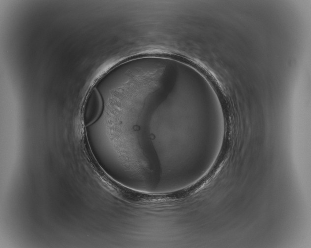 X0000116421367200912150950