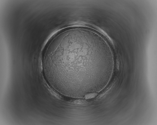 X0000116421368200912150950