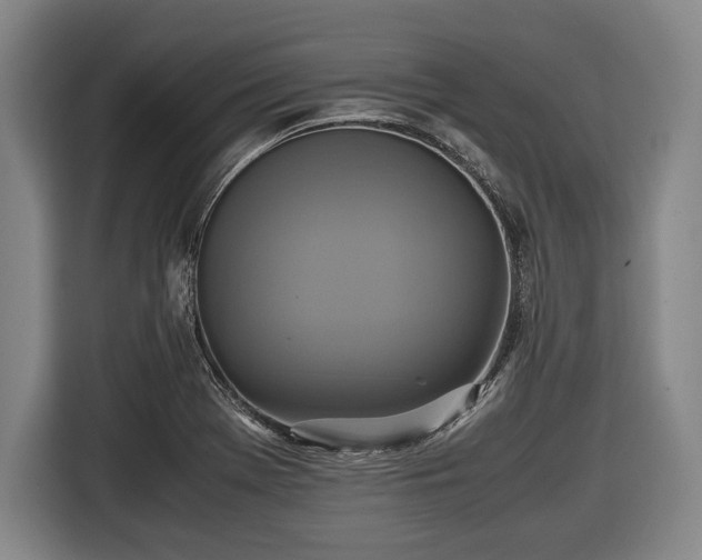 X0000116421369200912150950